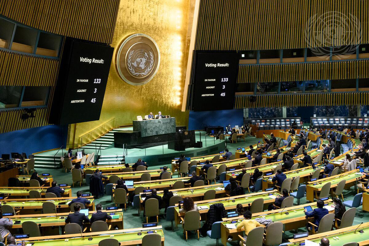 View of the General Assembly Hall during voting